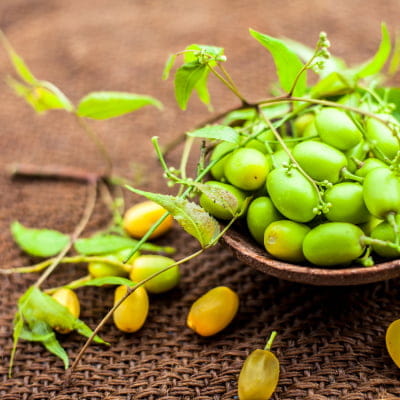 neem